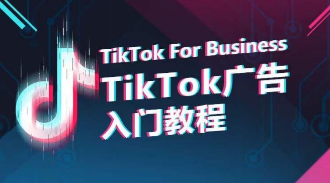 TikTok广告入门教程,从0到1掌握TikTok投放的全流程插图 TikTok广告入门教程,从0到1掌握TikTok投放的全流程插图
