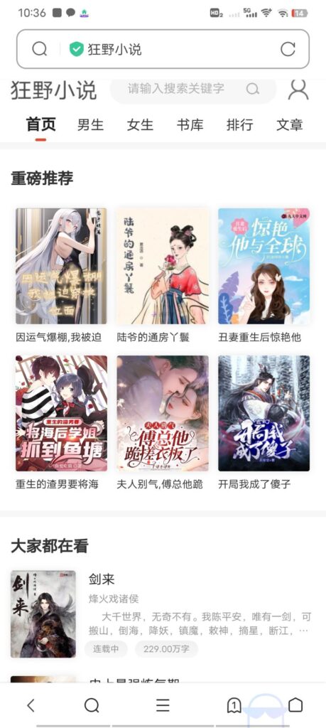 小说网站源码带管理后台手机端和采集-源码交易网