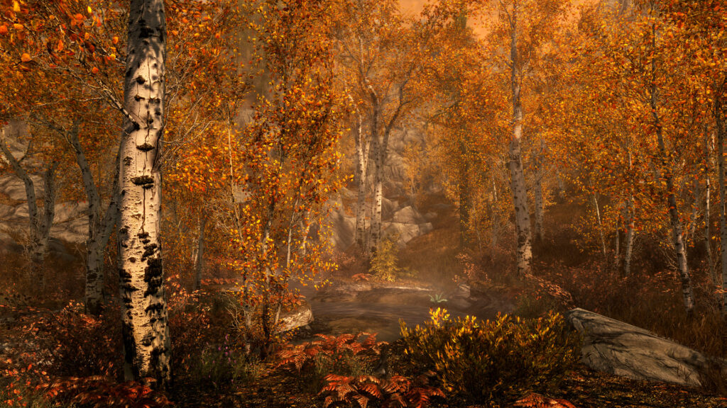 《上古卷轴5：周年纪念版/上古卷轴5：天际10周年重制版/The Elder Scrolls V: Skyrim Special Edition》V1.6.1179.0.8|官方繁体中文|支持键鼠.手柄|容量30GB插图6