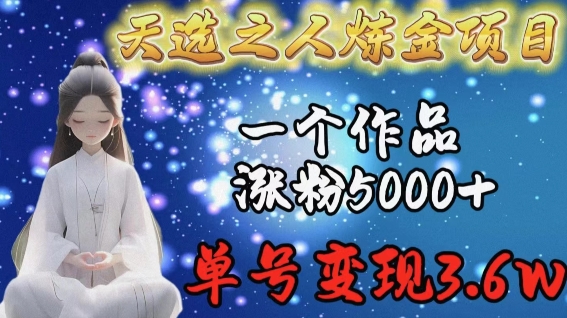 天选之人炼金项目，一个作品涨粉5000+，单号变现3.6w【揭秘】-源码交易网