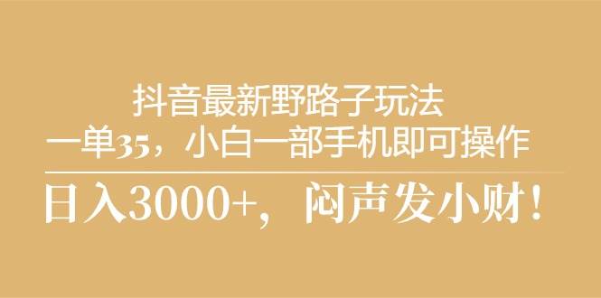 抖音最新野路子玩法，一单35，小白一部手机即可操作，日入3000+，闷声发小财！-源码交易网