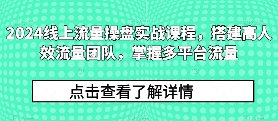 2024线上流量操盘实战课程，搭建高人效流量团队，掌握多平台流量-源码交易网