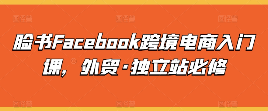 脸书Facebook跨境电商入门课，外贸·独立站必修-源码交易网