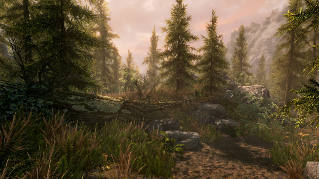 《上古卷轴5：周年纪念版/上古卷轴5：天际10周年重制版/The Elder Scrolls V: Skyrim Special Edition》V1.6.1179.0.8|官方繁体中文|支持键鼠.手柄|容量30GB插图