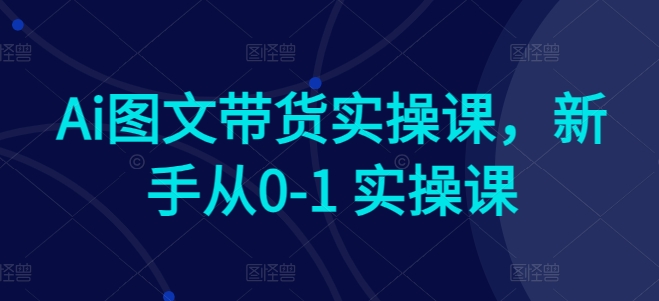 Ai图文带货实操课，新手从0-1 实操课-源码交易网