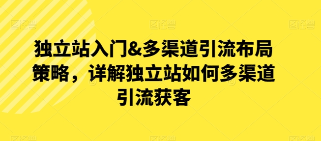 独立站入门&多渠道引流布局策略，详解独立站如何多渠道引流获客-源码交易网
