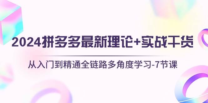 2024拼多多 最新理论+实战干货，从入门到精通全链路多角度学习-7节课-源码交易网