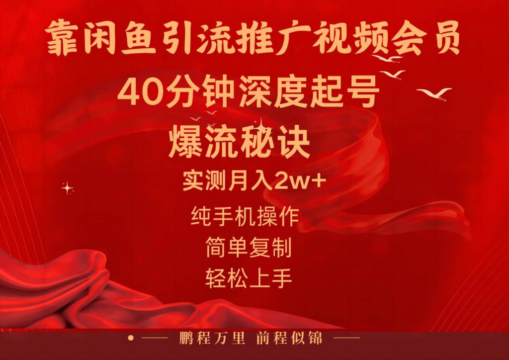 闲鱼暴力引流推广视频会员，能做到日入2W+，操作简单-源码交易网