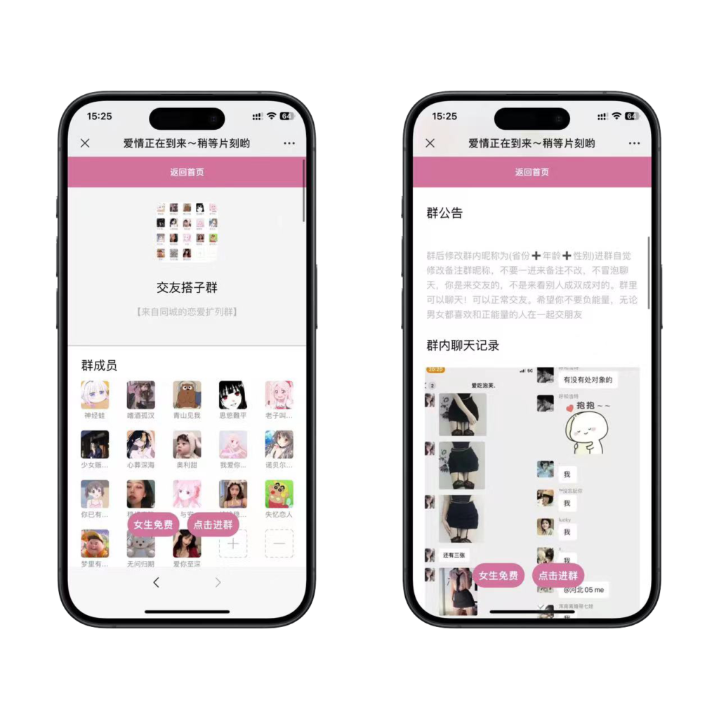 全新二开盲盒交友付费进群二合一系统插图2