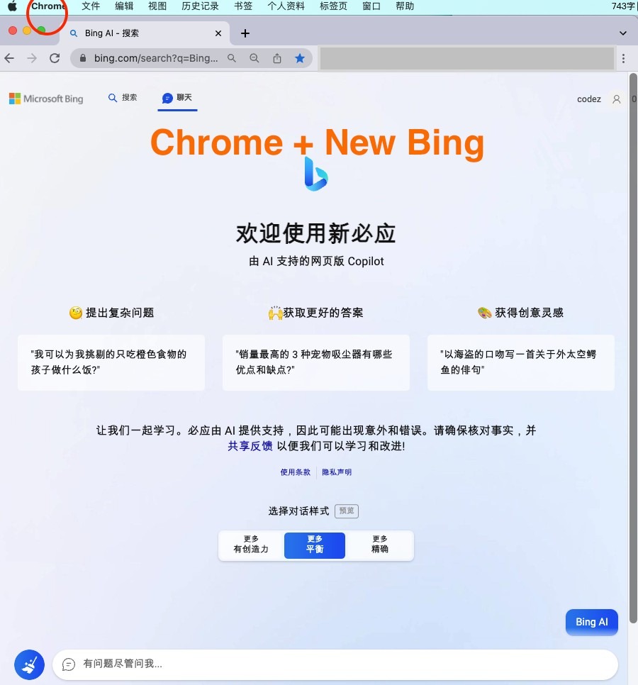 微软New Bing完美聊天机器人源码，支持ChatGPT提示词 国内可用，基本兼容微软 Bing AI 所有功能-源码交易网