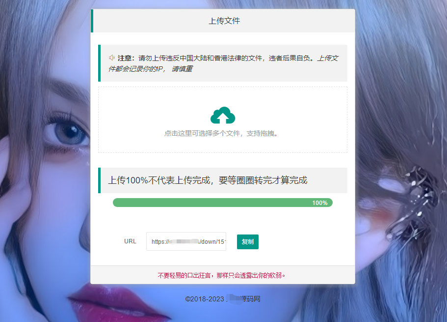 最新临时文件上传存储分享系统 临时文件网盘系统源码插图1
