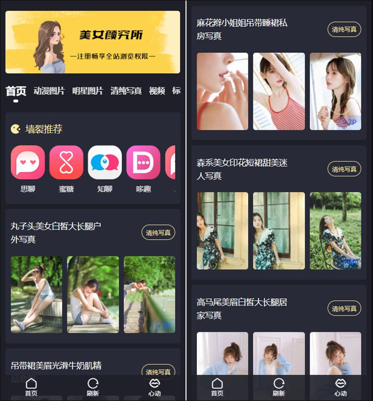 最新抖你妹原版主题源码仿抖音模式套图SEO源码_WordPress图片主题-源码交易网