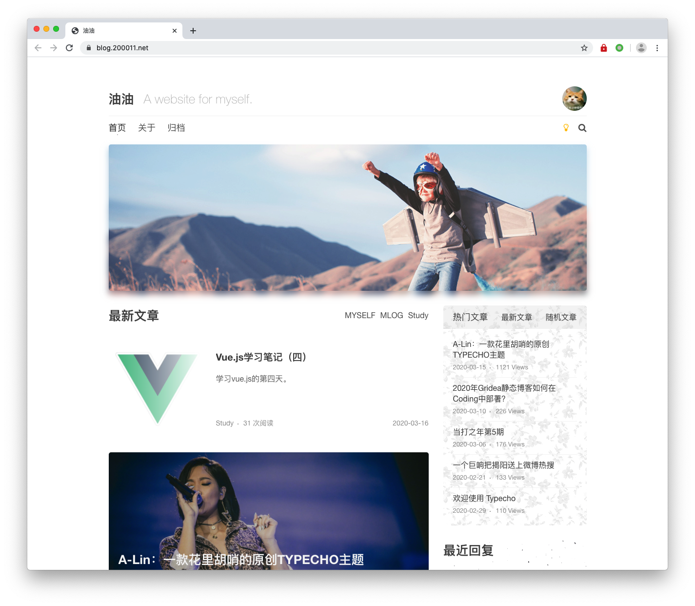 A-Lin 双栏黑白双色模板-源码交易网