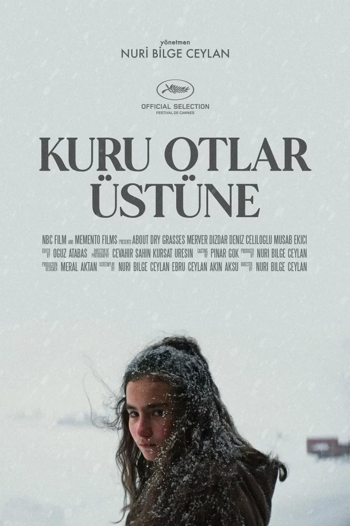 枯草 Kuru Otlar Üstüne [2023] 第76届戛纳电影节 最佳女演员插图1
