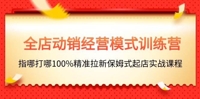 全店动销-经营模式训练营，指哪打哪100%精准拉新保姆式起店实战课程-源码交易网