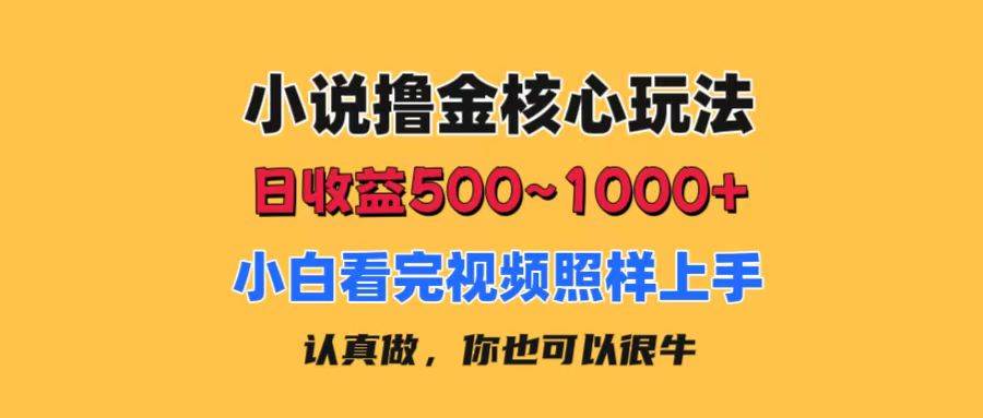 小说撸金核心玩法，日收益500-1000+，小白看完照样上手，0成本有手就行-源码交易网