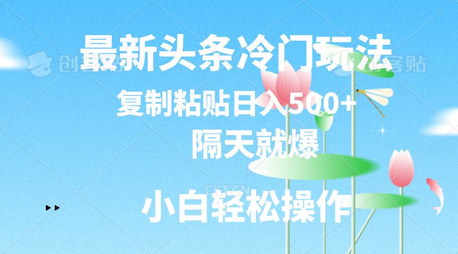 最新头条冷门玩法，隔天就爆，复制粘贴日入500+-源码交易网