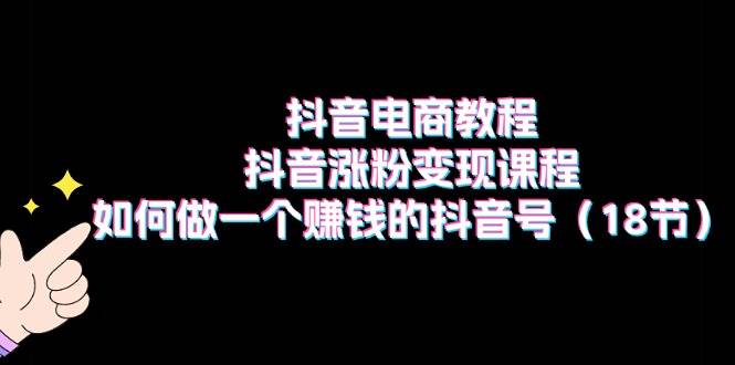 抖音电商教程：抖音涨粉变现课程：如何做一个赚钱的抖音号（18节）-源码交易网