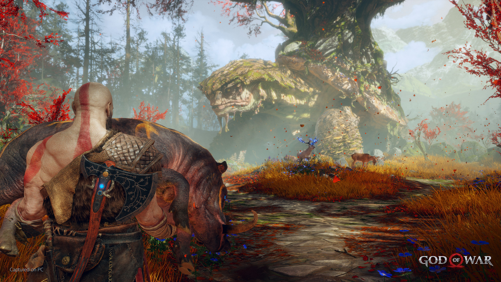 《战神4/God of War》v1.0.13/官方繁体中文/容量61.8GB-源码交易网