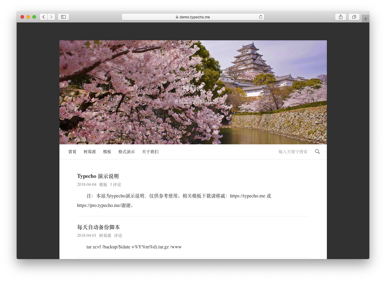 Rizhi 单栏日志模板-源码交易网