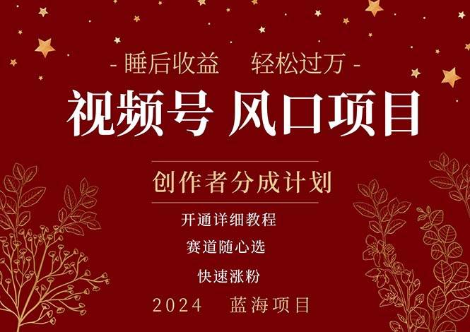 拥有睡眠收益的微信视频号大风口项目，轻松月入过万+，多赛道选择-源码交易网