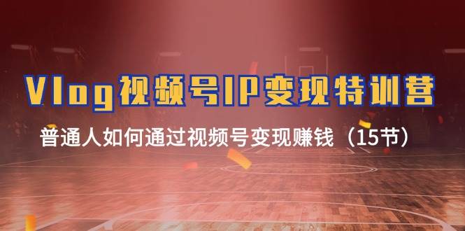 Vlog 视频号IP变现特训营，普通人如何通过视频号变现赚钱（15节）-源码交易网