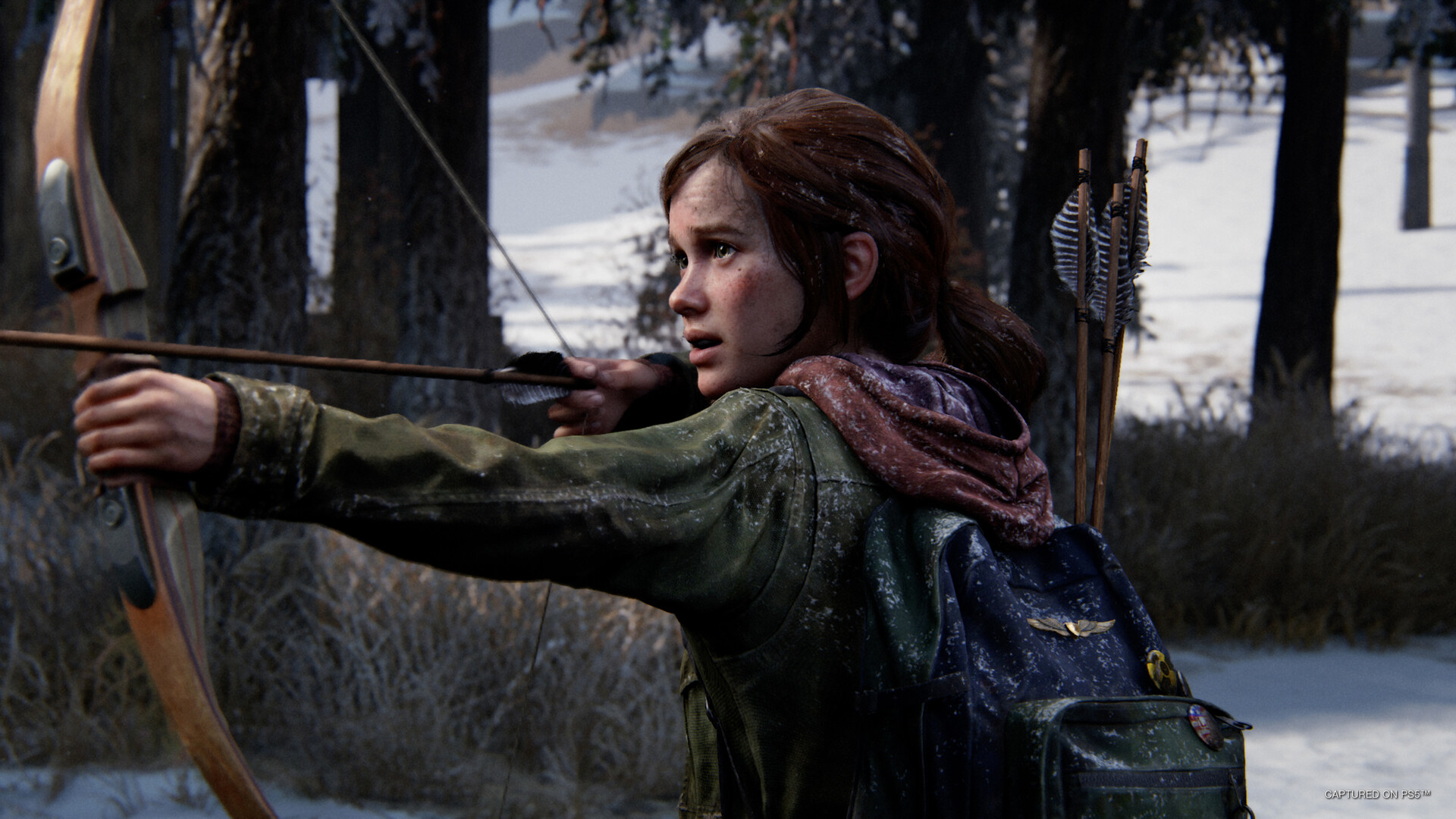 《最后生还者：第一部/美国末日/The Last of Us Part I》V1.1.3/官中/容量78.4GB/多项修G器|赠动画章节作bi服装全解锁存档-源码交易网