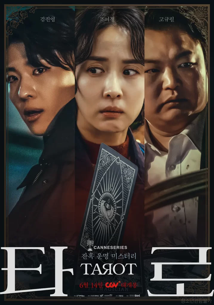 【韩剧】塔罗牌 剧版 2024 悬疑惊悚 曹汝贞 朴河宣 金珍荣 主演 高清中字（含影版）-源码交易网