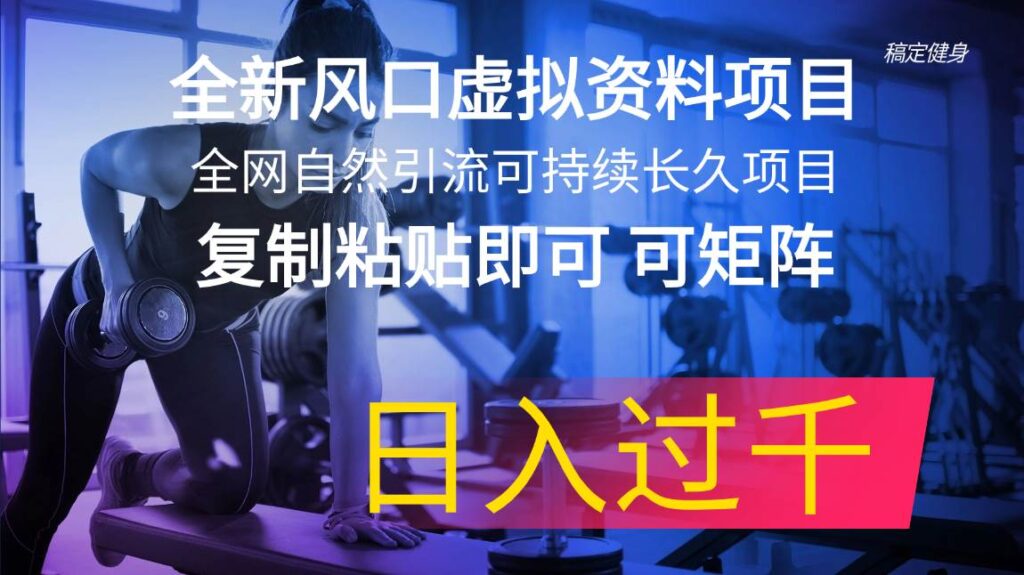 全新风口虚拟资料项目 全网自然引流可持续长久项目 复制粘贴即可可矩阵-源码交易网