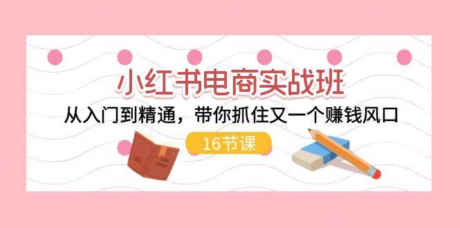小红书电商实战班，从入门到精通，带你抓住又一个赚钱风口（16节）-源码交易网